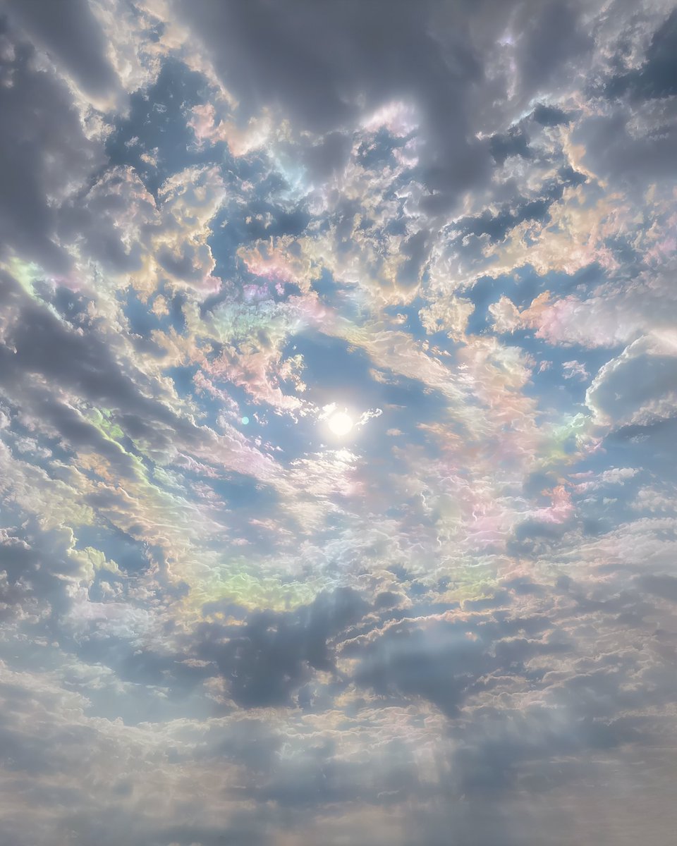 erehisufolder's tweet photo. we’ve lived different lives, but we were always under the same sky https://t.co/qab0b8Wk34