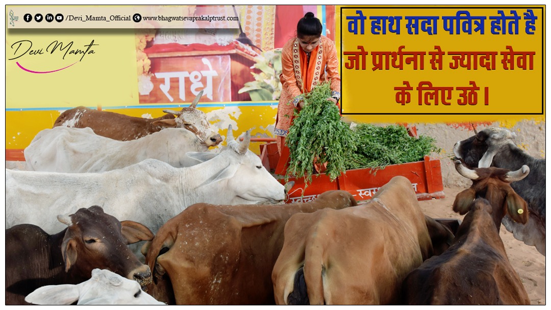 devimamtadeviji's tweet photo. वो हाथ सदा पवित्र होते है जो प्राथना से ज्यादा सेवा के लिए उठे। #devimamta #cowhelp https://t.co/lB4c5htWr2