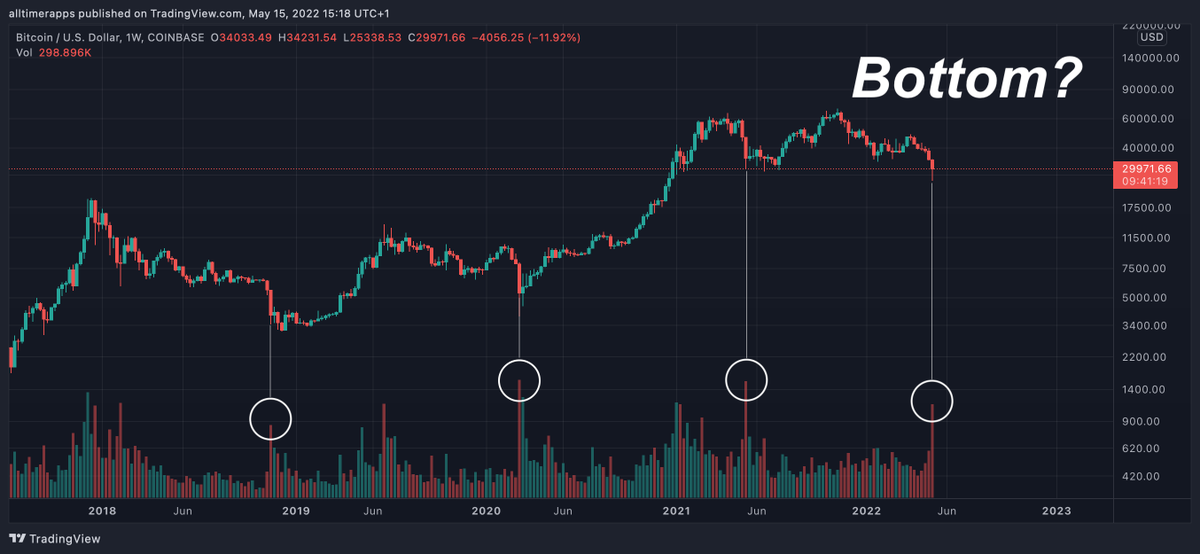 Bitcoin Archive tweet media