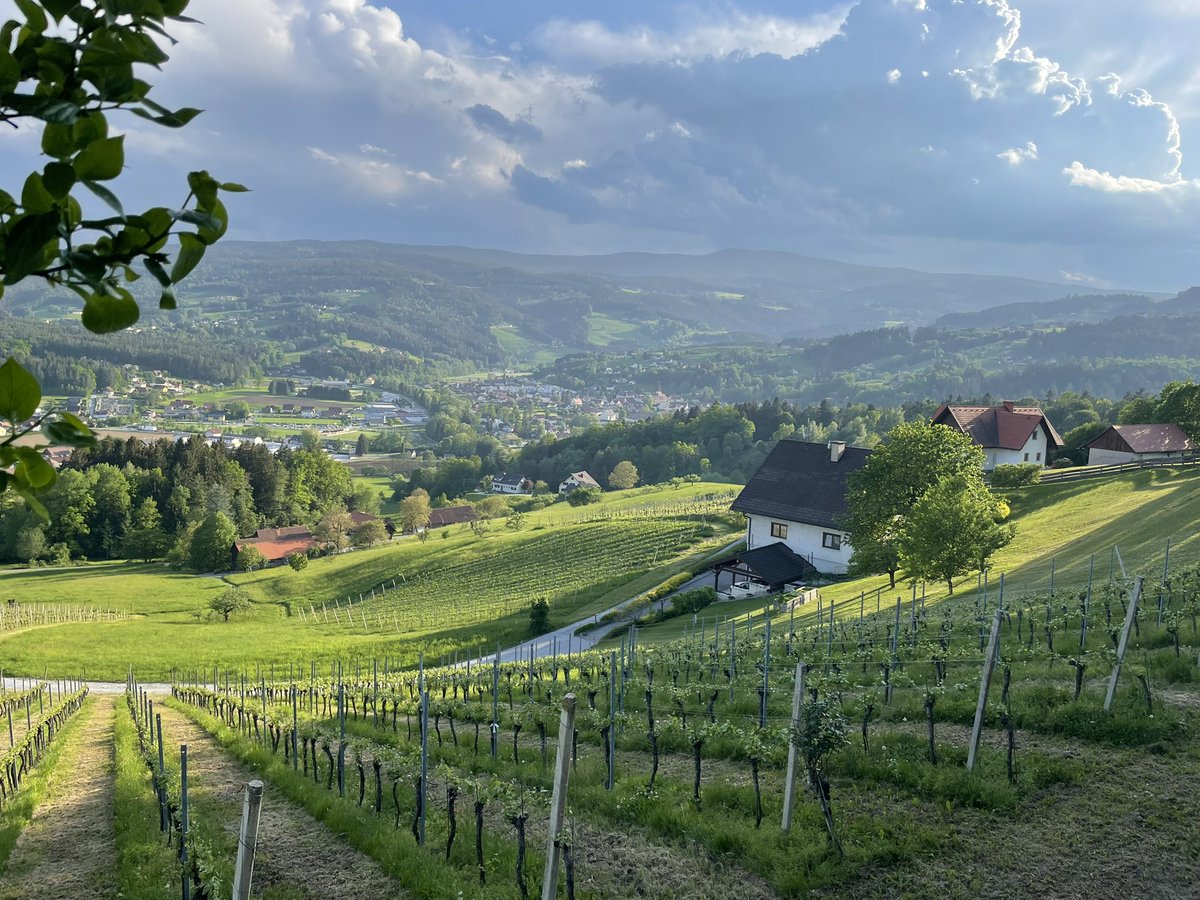 🍇 The highest vineyards in Europe 🥂

Just a short drive from Graz and you can be among vineyards, sipping organic wine and tasting local produce at a Buschenschank.

Like local people do 🥂 

Sound good? 

#traveldeepergraz #TravelDeeper
<a href="/visitgraz/">Graz Tourismus</a> #visitGraz /Ad