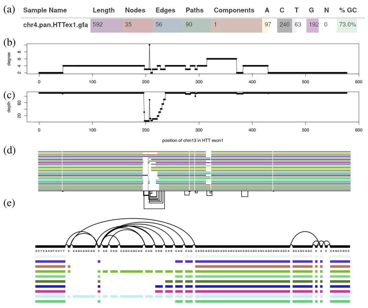 ODGI: understanding pangenome graphs academic.oup.com/bioinformatics…