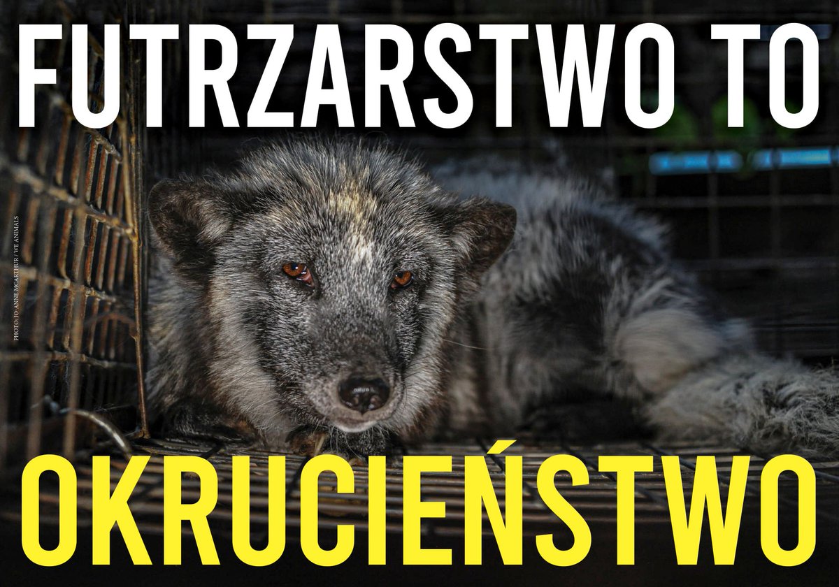 nicollettte's tweet photo. #OchnikZrezygnujzFuter https://t.co/wOFwOGhUt8