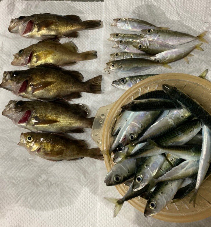 みんなの あかり 唐揚げ 口コミ 評判 食べたいランチ 夜ごはんがきっと見つかる ナウティスイーツ