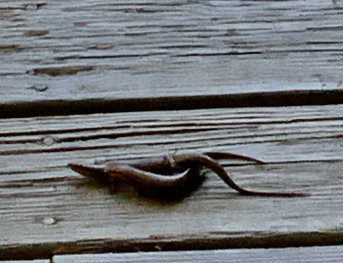 A few more🙋‍♀️