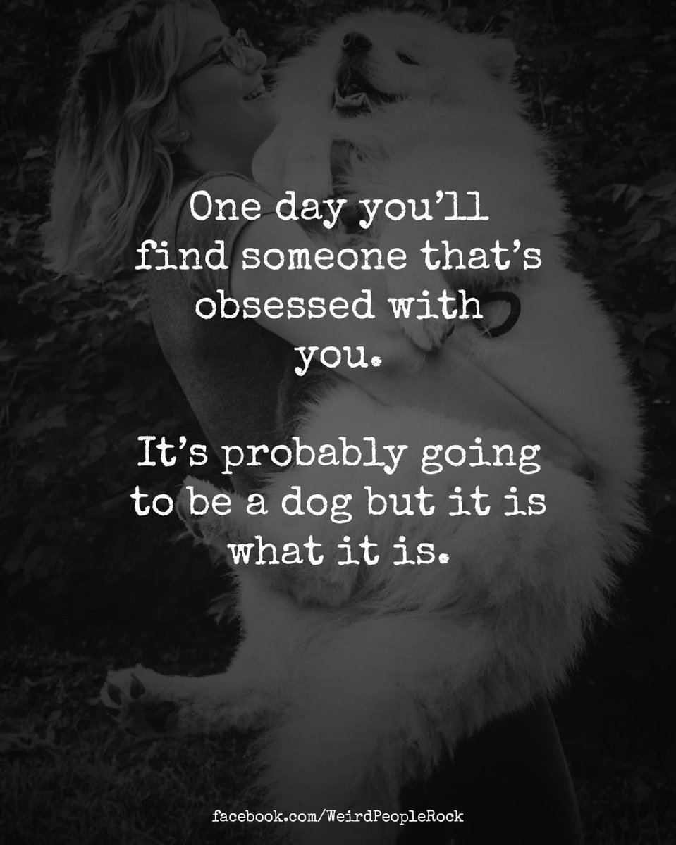 BSPCA_BH's tweet photo. 🐶❤️

#Bahrain #BSPCA #SPCA #dogs #adopt #rescue #rehome #obsession https://t.co/YEautVqqkm
