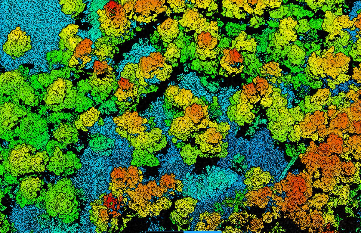 Drone captured data can help with environmental monitoring and vegetation management. Contact WildData Drones to find out how we can help! wilddatadrones.com #dronemapping #ecology #landmanagement #conservation