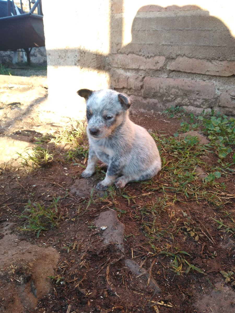 ManizuG's tweet photo. Se estaba olvidando está joyita de foto https://t.co/VAnQYZuPt5