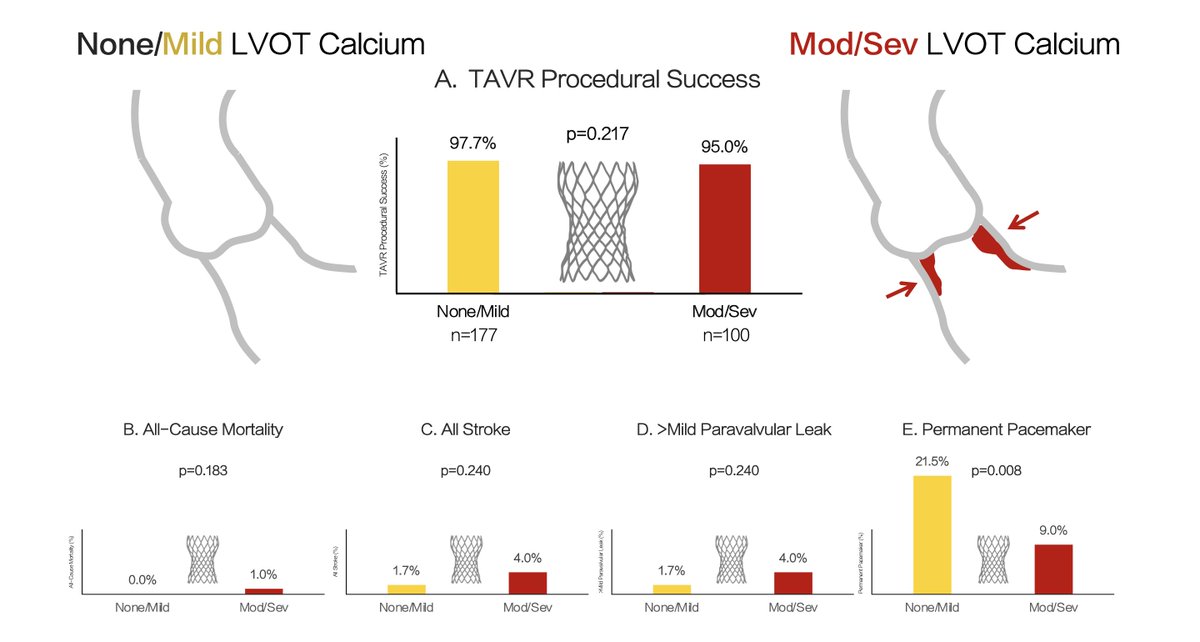 Giorgio A. Medranda MD, FACC, FAHA, FSCAI tweet media
