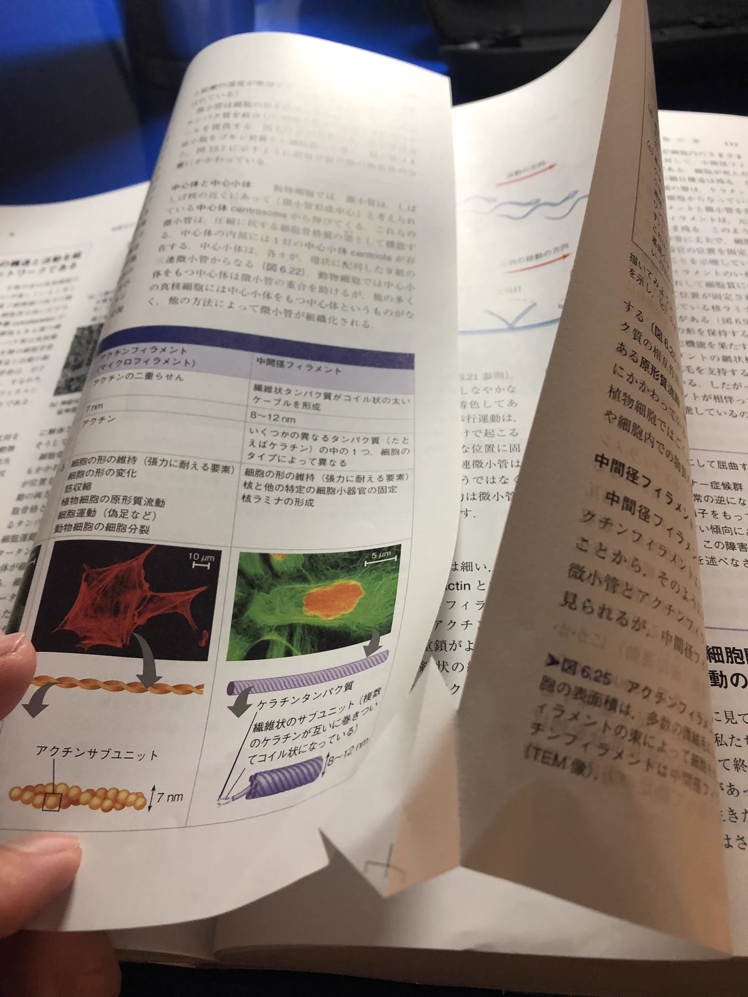 @Sa3lXV41YCJi6on 私もありましたよ。 