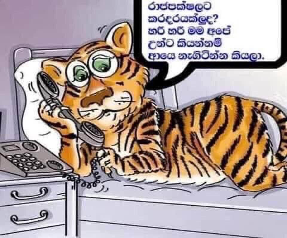 KaviSenu's tweet photo. https://t.co/DyrpElhJXz