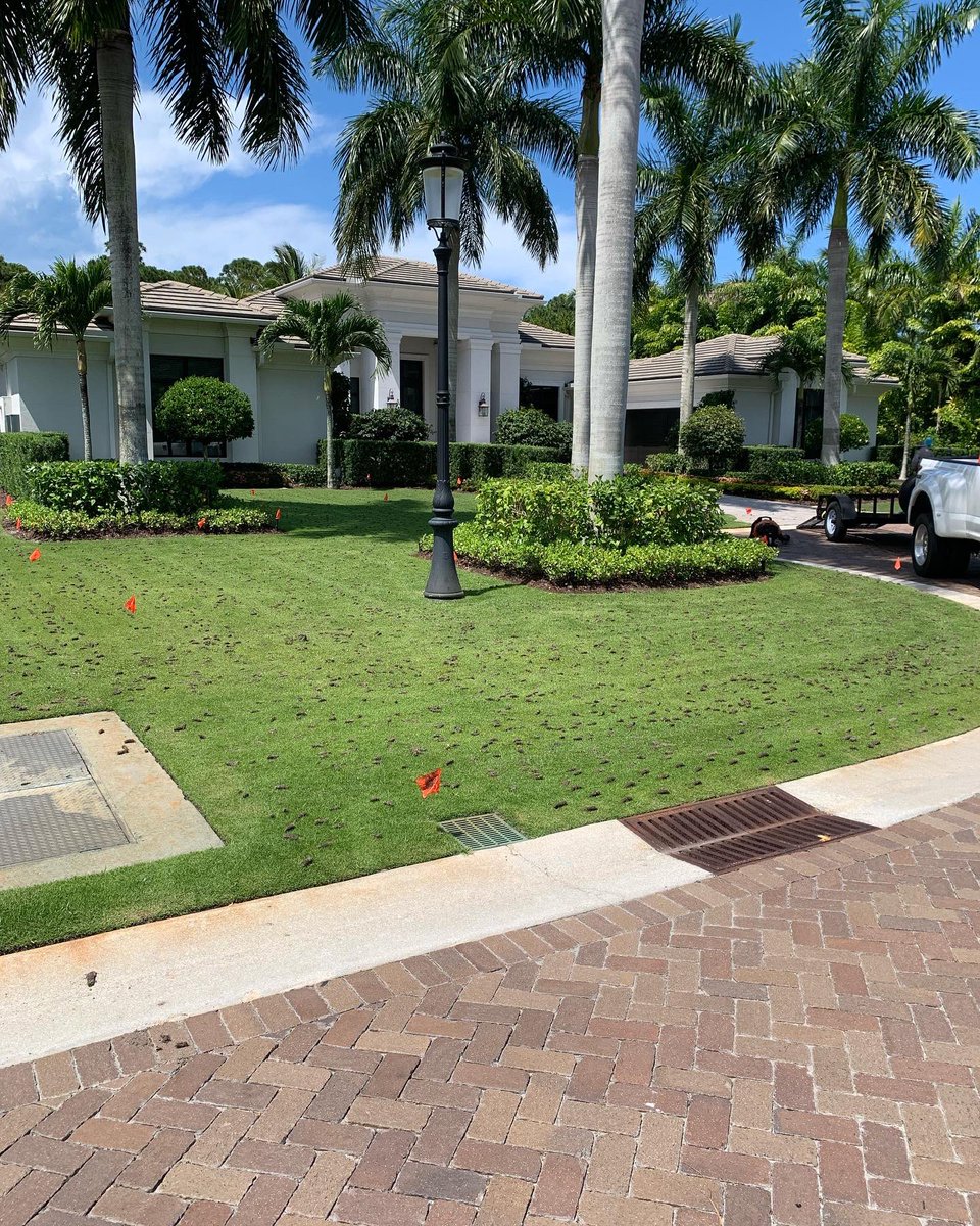 Prime Turf Management tweet media