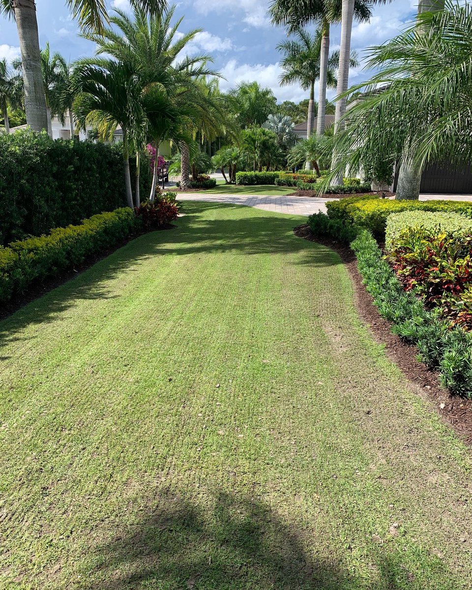 Prime Turf Management tweet media