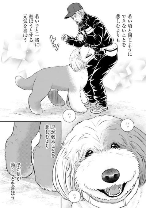 今日は坊、私に向かってぴょんぴょん飛ぼうとしたし友達のマルちゃんをあそぼ!って何度な誘ったよ。
危ないから止めたけど😅 