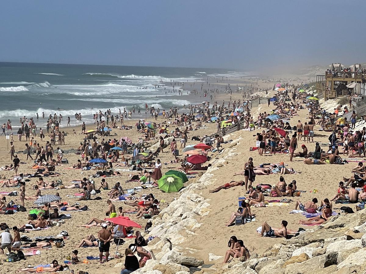 Sud Ouest Bordeaux tweet media