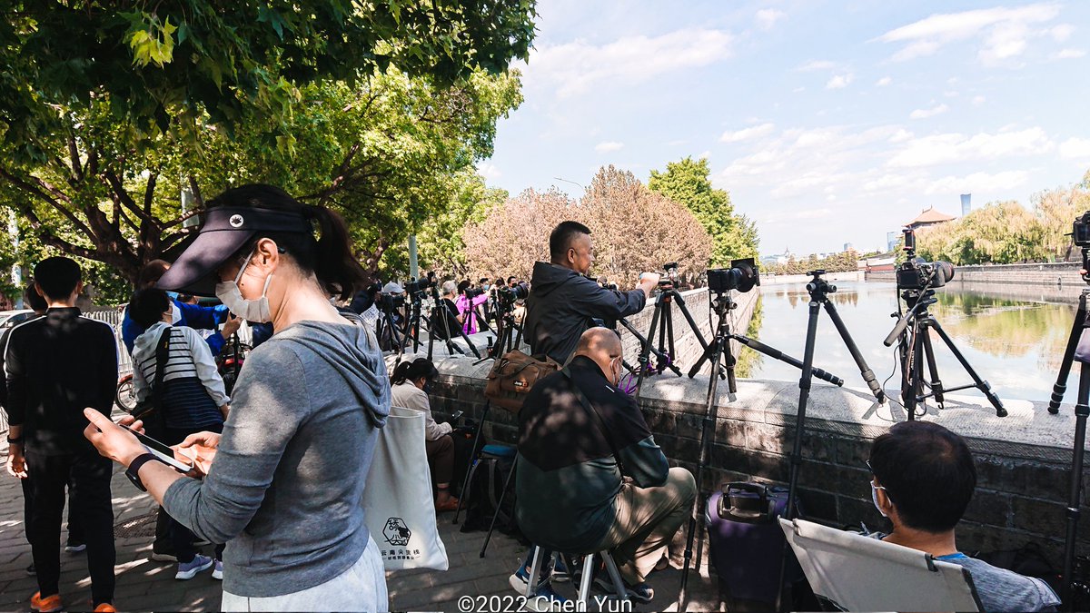 ChenYun's tweet photo. #Photographer #StreetPhotography #CornerTower #ForbiddenCity #Beijing #Peking https://t.co/J4JcPoru8p