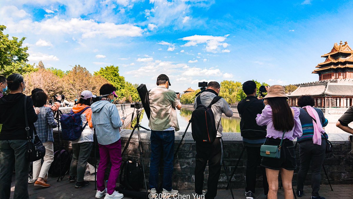 ChenYun's tweet photo. #Photographer #StreetPhotography #CornerTower #ForbiddenCity #Beijing #Peking https://t.co/J4JcPoru8p