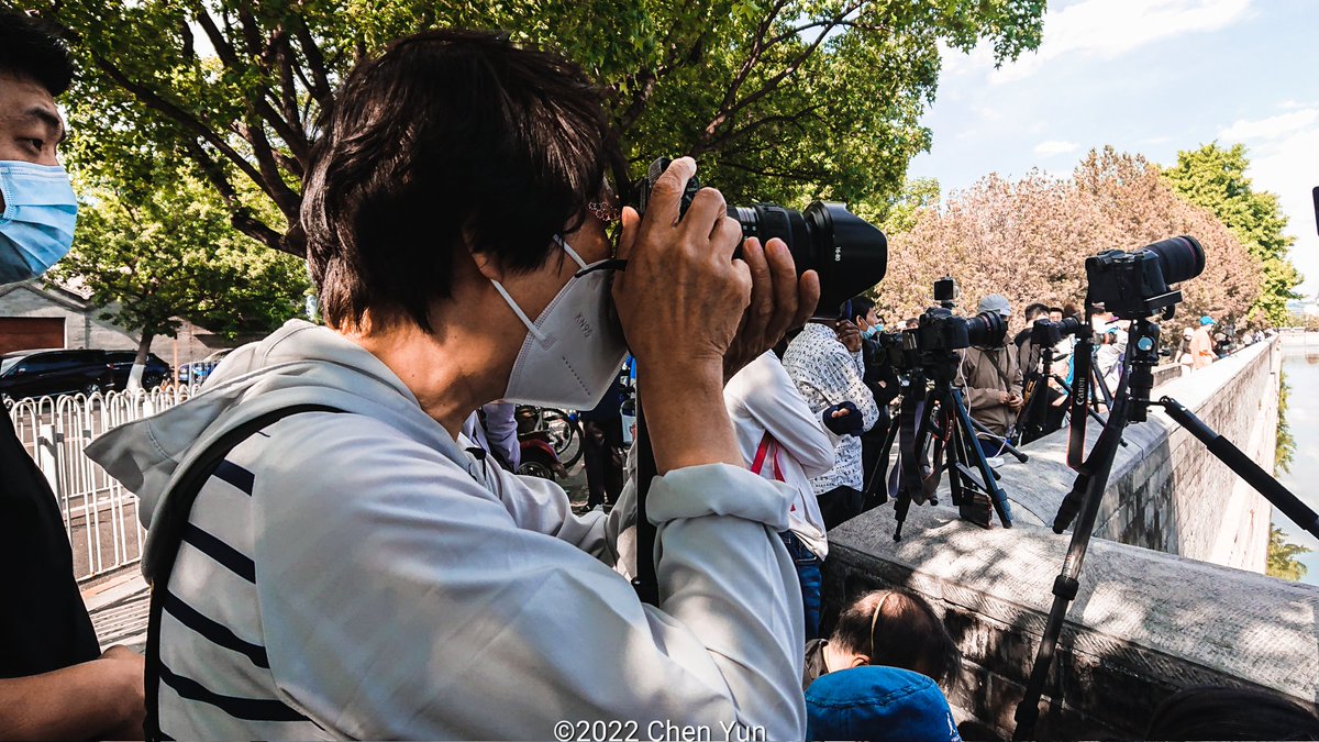 ChenYun's tweet photo. #Photographer #StreetPhotography #CornerTower #ForbiddenCity #Beijing #Peking https://t.co/J4JcPoru8p