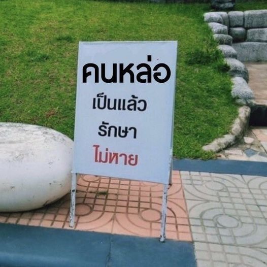romiwonie's tweet photo. ช่ายเลย 🥹🫶🏻🫶🏻 https://t.co/8fAczei75x