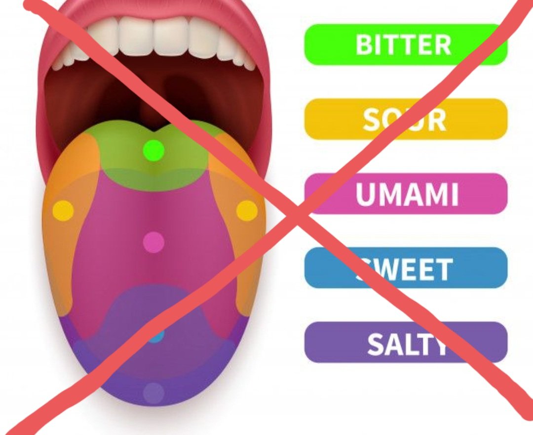 El mapa de la lengua es una herramienta erronea de cata.
El problema no fueron los hallazgos de Hänig, y si cuando publicó sus resultados, incluyó un gráfico que representaba el cambio relativo en la sensibilidad para cada gusto.Desmentido en 1976.