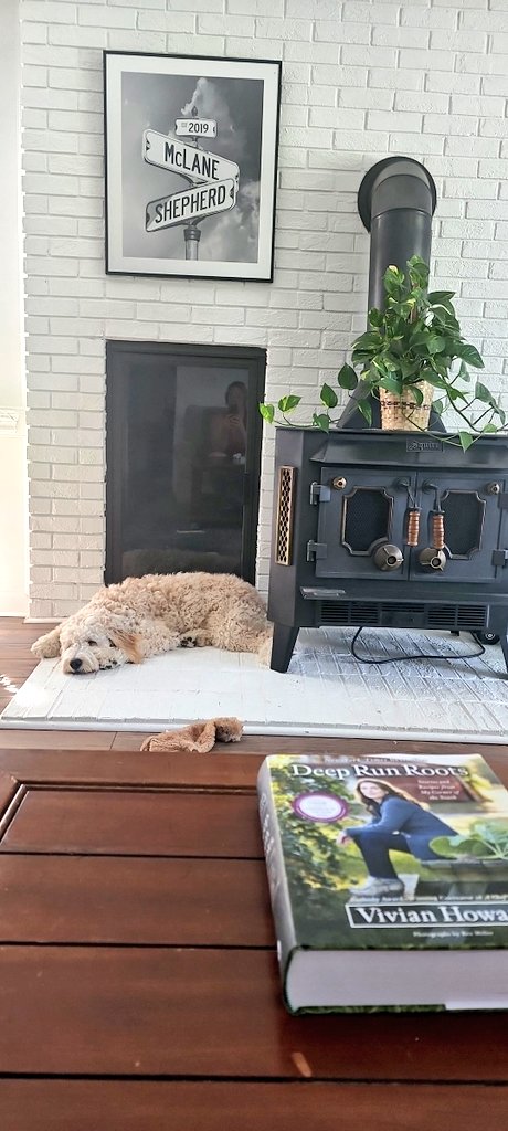 Cheers to my favorite day of the week! 🍾🥂🍾 Sleepy puppy, strong coffee, and reading cookbooks! 🍍🥐🌽