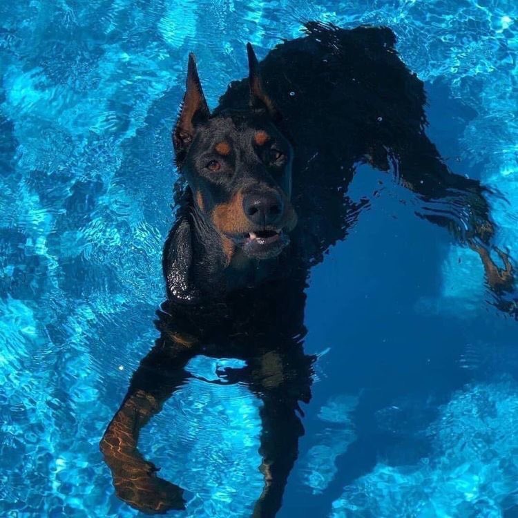 HIGHEST (@high6st) on Twitter photo 