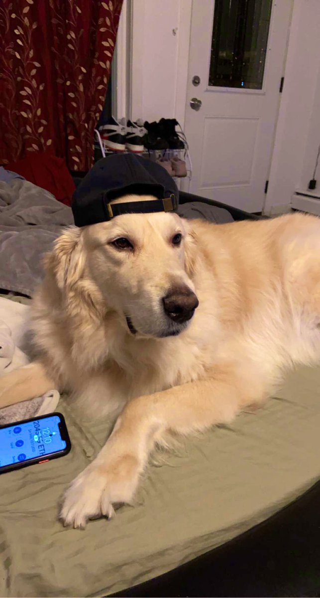 The OG Studio dawg in his element. 🐾
Meet my best friend Leo, the inspiration behind <a href="/studiodawgz/">Studio Dawgz</a> . Always vibin with me while I record music in the home stu. He’s definitely day dreamin about some eth rn 🤣

#nft #nftproject #dog