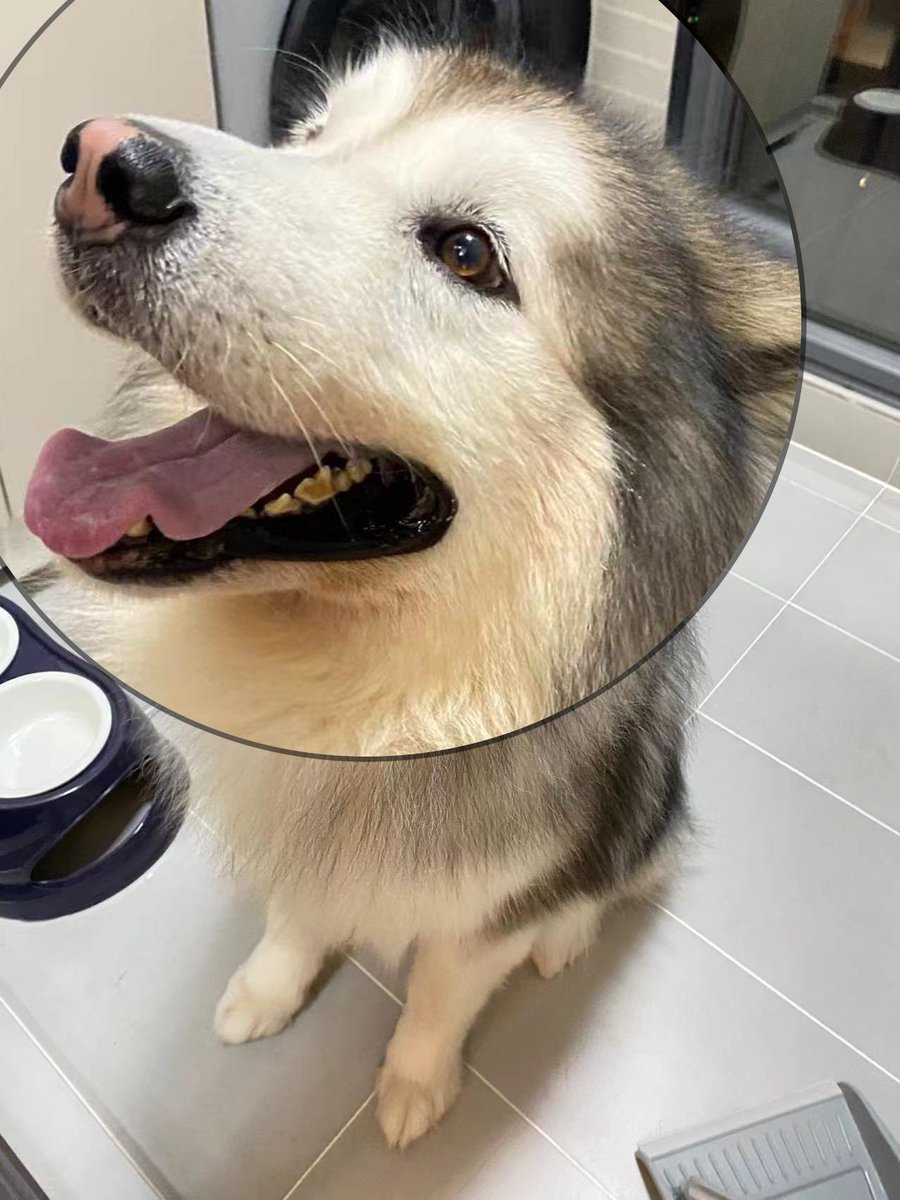 快点拿来吧西瓜🍉