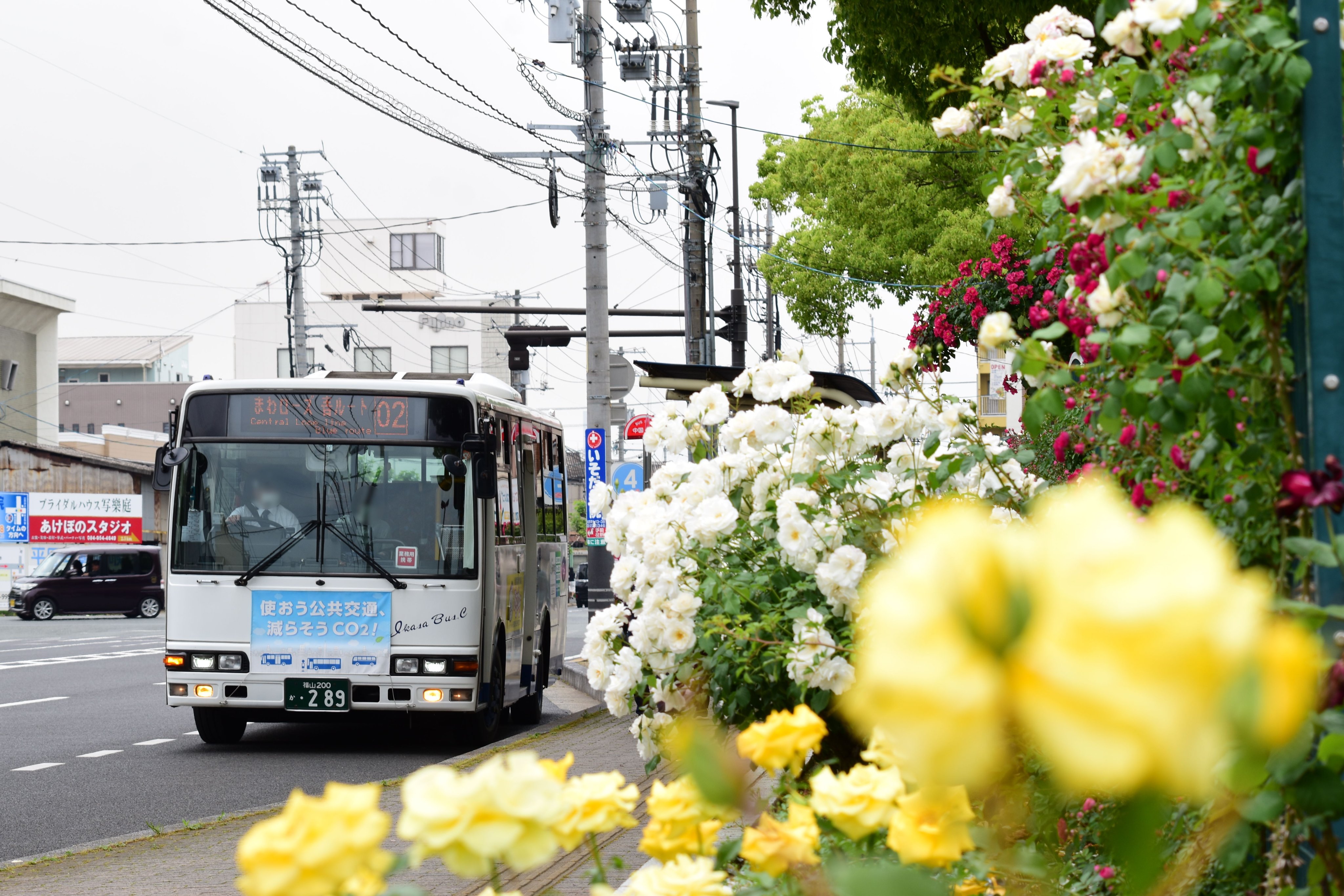 ばすすかい ２ 1 臨時バス 福山駅 ばら公園 緑町公園 中国バス 鞆鉄道の2社 大型車で運行 F15 ばらバス22 N5 186 世界バラ会議福山大会25 1 I0702 2 I1631 もと東急バス 3号車は夕方ごろに車両交換された模様 T Co