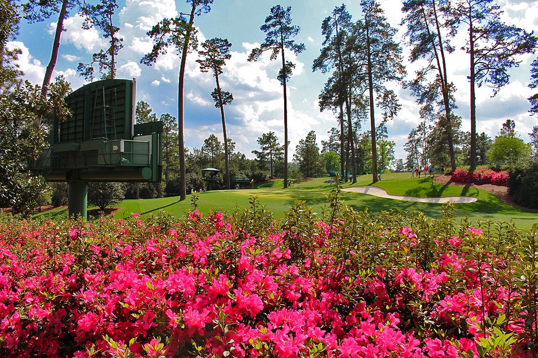 yourgolftravel's tweet photo. If you could attend one golf tournament what would it be?

If it’s The Masters click here: https://t.co/GYNdK7cMGl

👇 Master 2023 package 👇

✅ Return Flights
✅  Masters Ticket 
✅  YGT Golf Day
✅  Hospitality on Tournament Days

Plus more! https://t.co/vTZcy4gQ3I