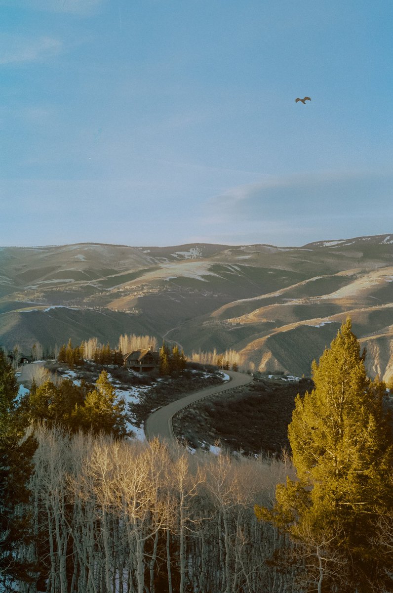AlexKittoe's tweet photo. Photos I took in Beaver Creek 🎞 https://t.co/hf0eLAVlcQ