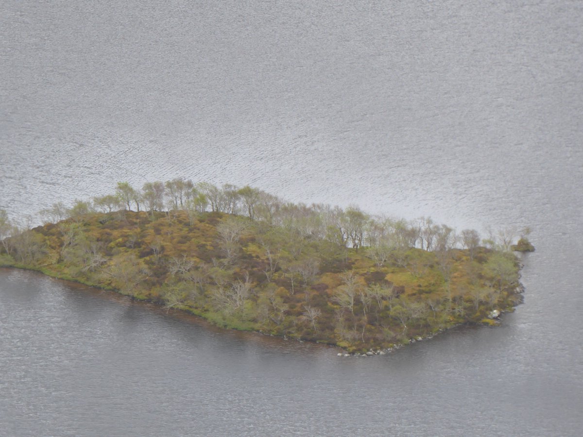 carbonchoicesuk's tweet photo. Natural wilderness? No. Look closely. This land should be tree covered, not degraded peatland.
#rewilding #deer #glenaffric #trees #deerstalking #aghlasbheinn #glenshiel #ratagan https://t.co/z5zMfoJAz0