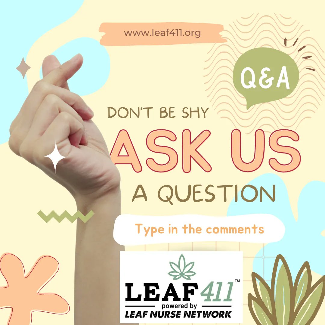 Leaf411org's tweet photo. Have a question for our Cannabis Nurses? Ask away! Schedule your own 30min guidance call today! https://t.co/uuRq6kNHCE or 844-leaf411! Ask your favorite dispensary to help support access to education from qualified nurses by supporting @Leaf411org! #Leaf411 #CannabisMedicinal https://t.co/XlPdJUiHrb