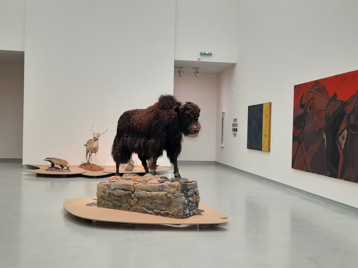 EliseHelfer's tweet photo. Visite au @museewurth où les spécimens naturalisés du Musée zoologique de Strasbourg ont trouvé refuge ! @JDS_unistra #science #partage https://t.co/J1ym7f7TWd