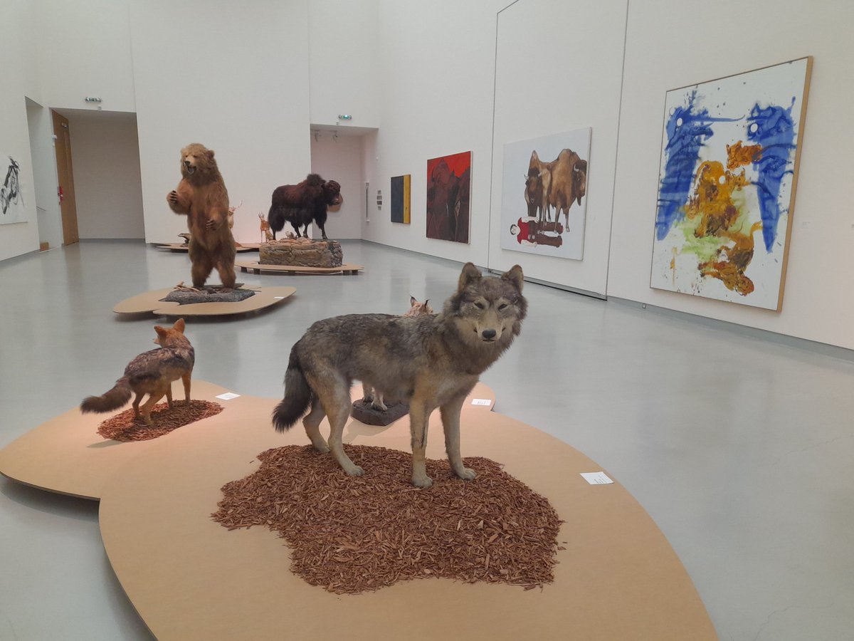 EliseHelfer's tweet photo. Visite au @museewurth où les spécimens naturalisés du Musée zoologique de Strasbourg ont trouvé refuge ! @JDS_unistra #science #partage https://t.co/J1ym7f7TWd