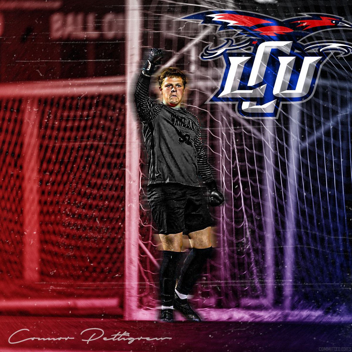 The move…❤️💙