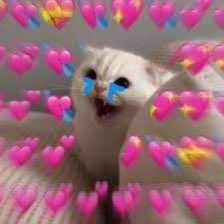 WAIT A MINUTE SO CAIT SITH’S CAPE WAS A GIFT FROM HIS LATE MHACHI VOIDMAGE MASTER? SOMEONE HE LOOKED TO AS FAMILY TO WHOM HE REMAINED LOYAL TO  FOR MILLENIA? AND WHEN IT GOT TORN IT WAS REPLACED BY THE REDBILLS’ SCARF FROM LEOFARD?!???