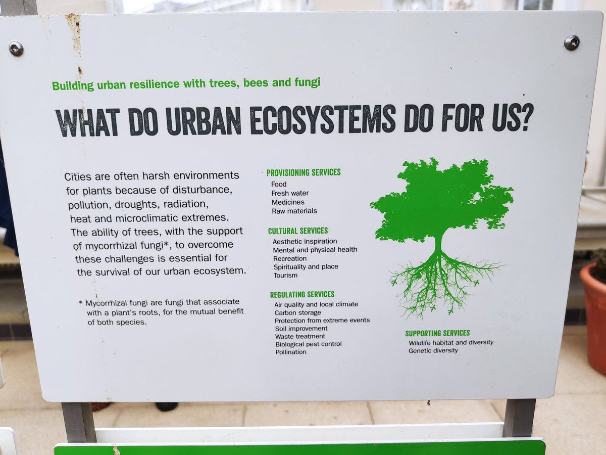 Geke van Dijk tweet media