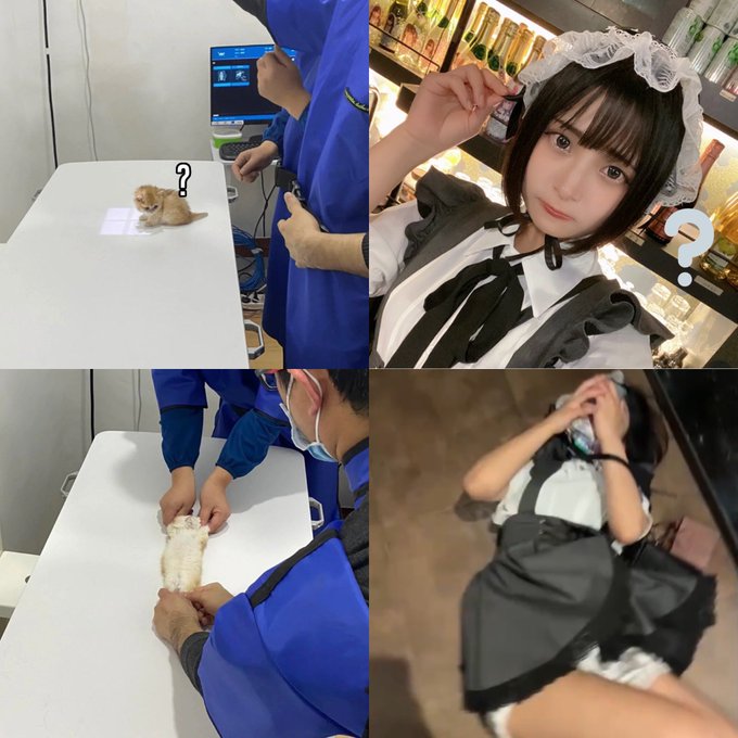 コスプレイヤーやよっぺ。のTwitter画像28