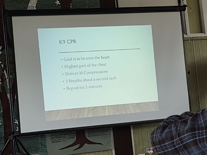 Amanda Tikkanen tweet media