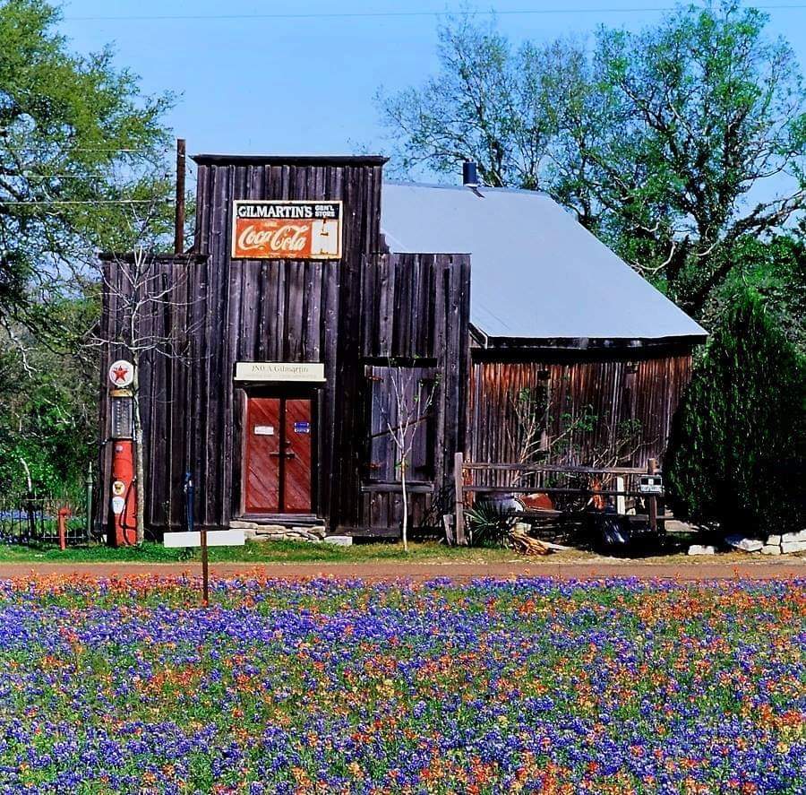 rmorrisondcool1's tweet photo. 💙Texas Bluebonnets: A little bit of God's gifts to Texas💙
#SaveOurChildren #MayYouBeBlessedWithEnough
#LoveOverHate #HateIsNotAnOption https://t.co/3XYI8pu2N0