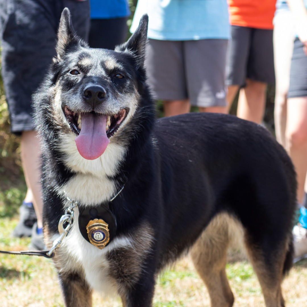 RI State Police tweet media