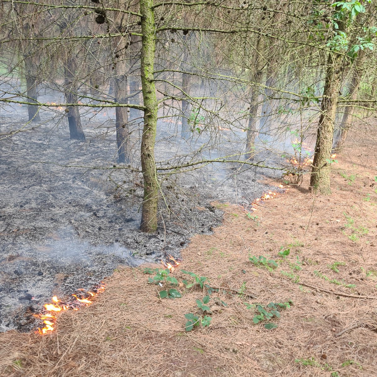 _KieranD_'s tweet photo. Relatively uneventful shift with @YorksAmbulance cut short today. Booked off early after spotting smoke in a woodland for a (suspected!) intentional fire. Managed to mostly extinguish in advance of @SYFR arriving on scene quickly to finish off. #thankyou #fire #community https://t.co/n9invcw37w