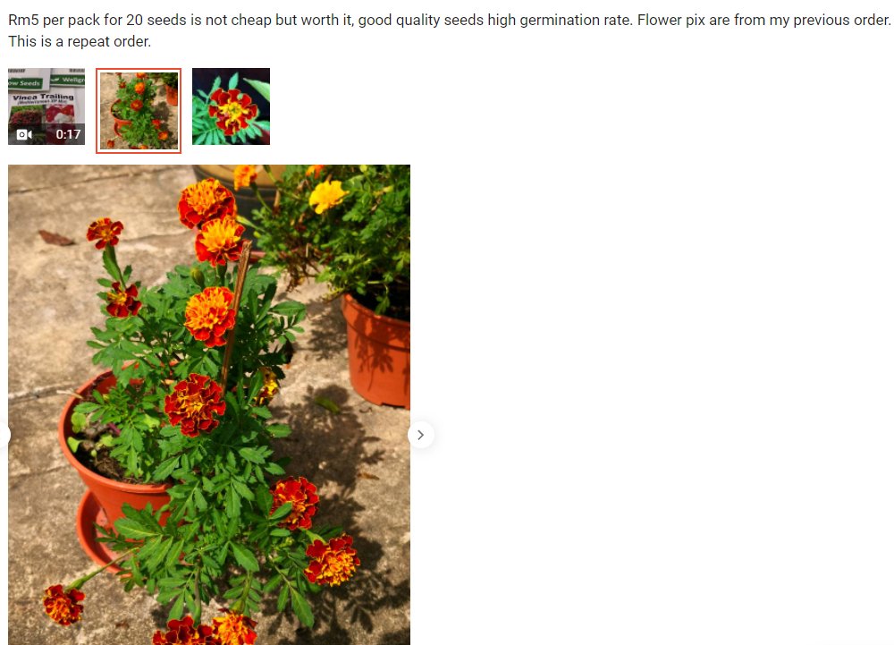 theink_kid's tweet photo. WellGrow Seeds - French Marigold https://t.co/tIhRQZzXZn