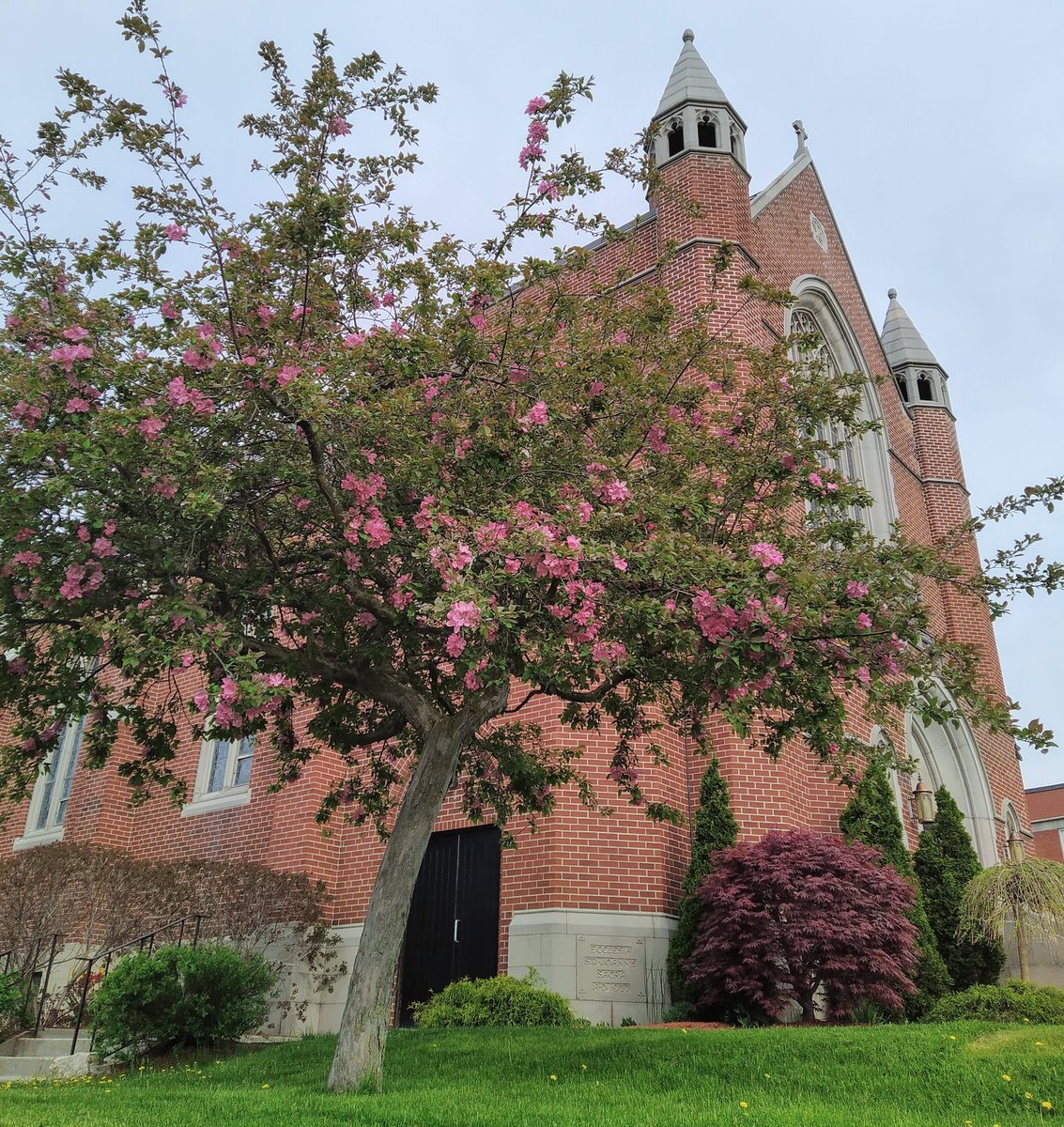 Dan Cecile tweet media