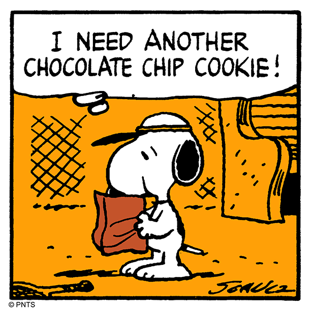 Snoopy's tweet image. You can never have enough chocolate chip cookies! 
#NationalChocolateChipCookieDay