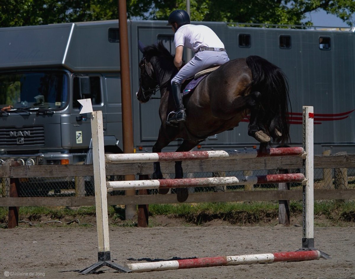 Ghislaine_013's tweet photo. Kon het niet laten om foto's te maken bij deze manege tijdens een rondje wandelen door strabrechtse heide. Waren net wedstrijden aan de gang en heb van een afstandje in het bos staan toekijken😃 https://t.co/uMqRcfP9Jp