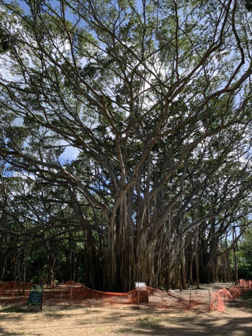 sussuangel's tweet photo. #SpaceSu
Recebiii na dm amores… olha que massa!!!
Essa foto localizado no Hawaii , aonde foi filmado algumas tomadas sobre LOST! https://t.co/Mwdm4UmgOx
