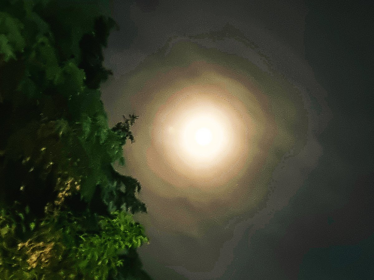 Busan Night sky moon