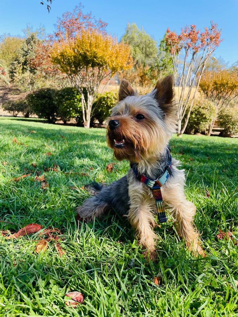 Feliz domingo para todos les deseamos Bruno y yo ♥️