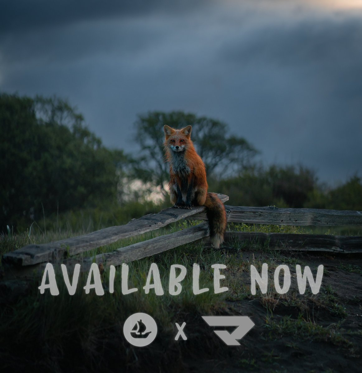 GM 

"Mr. Fox" is LIVE on Opensea! 🦊

Edition of 35 / .0333ETH

Custom Manifold contract 

COME GET YOUR FOX 👇👇👇

opensea.io/assets/ethereu…